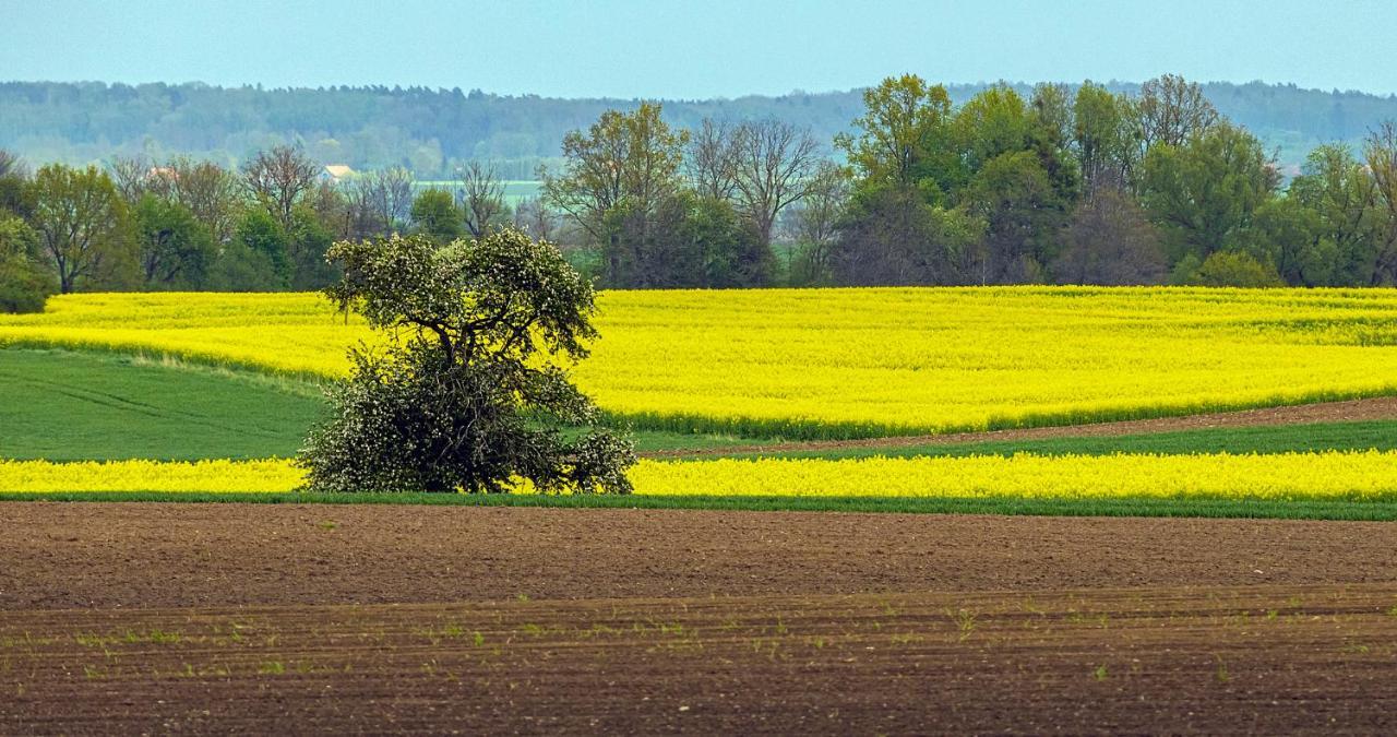 Cztery Luksusowe Domy Na Mazurach, Jezioro Juksty - Sakurarest Sniadowo (Warmian-Masurian) Exterior foto